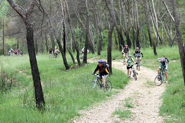 VTT 2009_025