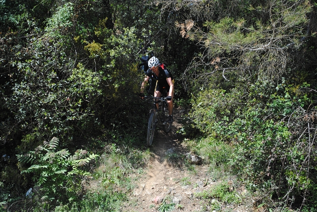 VTT 2012_421