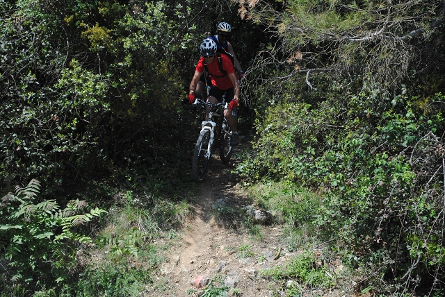 VTT 2012_424