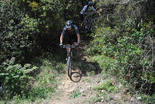 VTT 2012_429