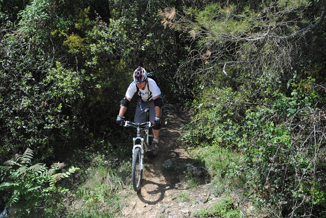 VTT 2012_437