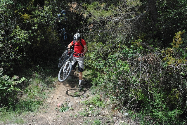 VTT 2012_441