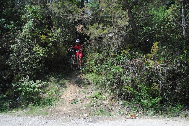 VTT 2012_445