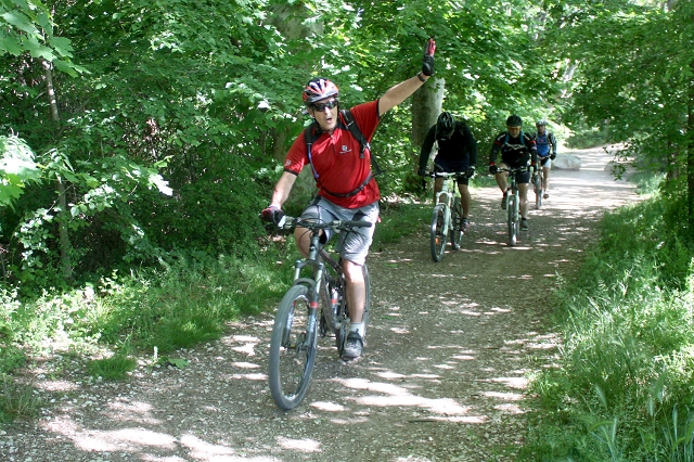 VTT 2013_114