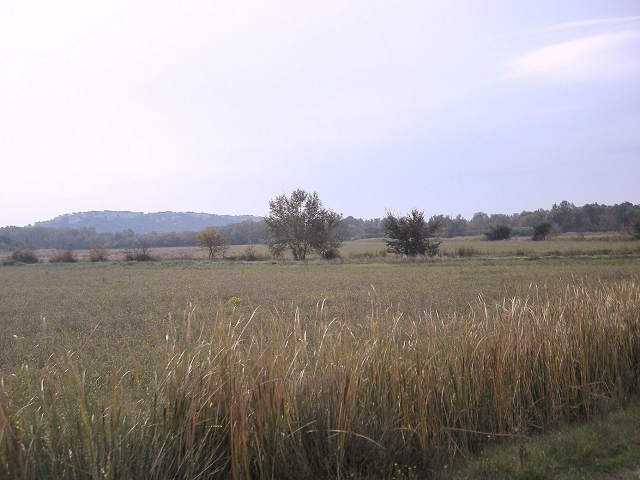 081012camargue_19