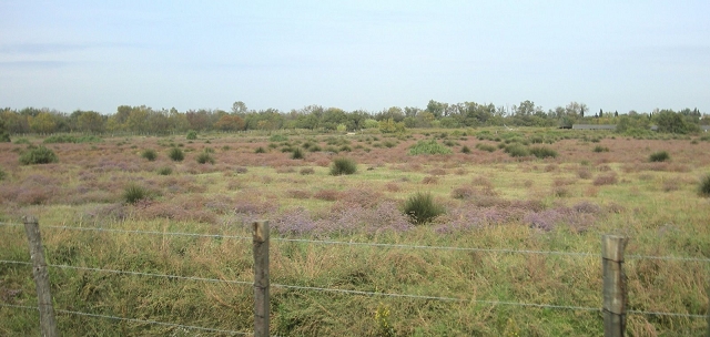 081012camargue_38