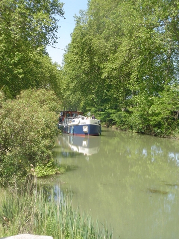 Au bord du canal