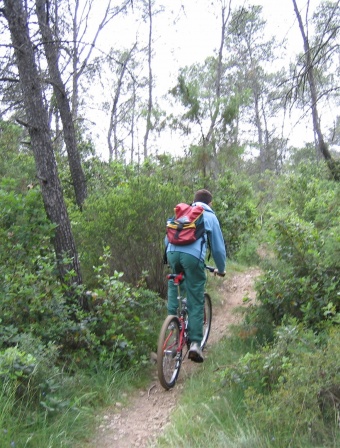 VTT 2007-029