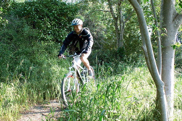 VTT 2010_001