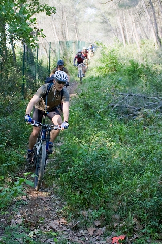 VTT 2010_009