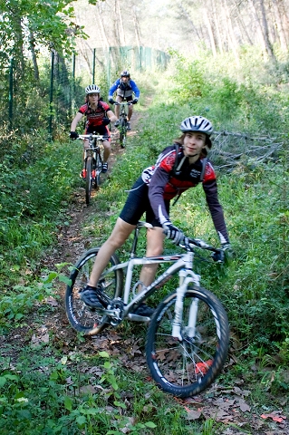 VTT 2010_010