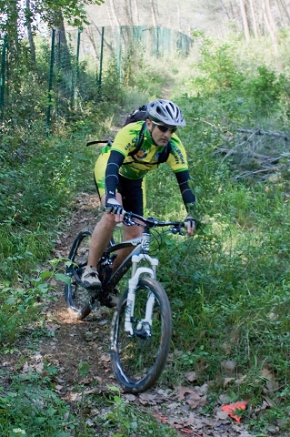 VTT 2010_012