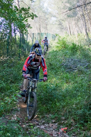 VTT 2010_013