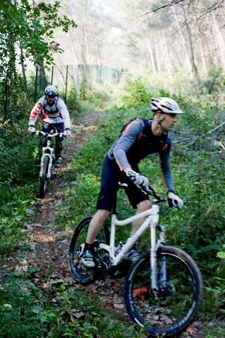 VTT 2010_014