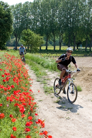 VTT 2010_081