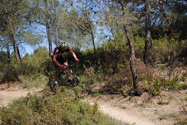VTT 2012_365
