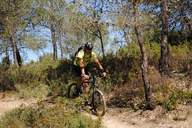 VTT 2012_372