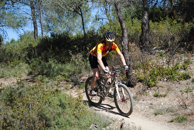 VTT 2012_373