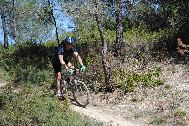 VTT 2012_388