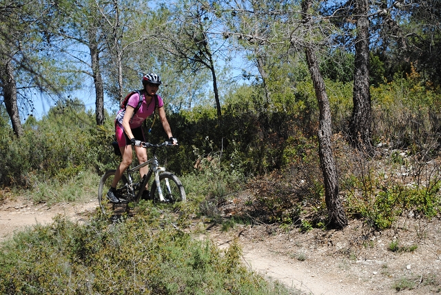 VTT 2012_395