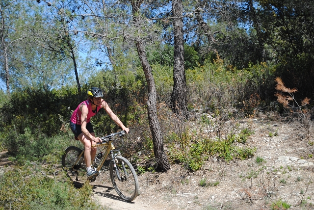 VTT 2012_406