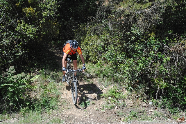 VTT 2012_410