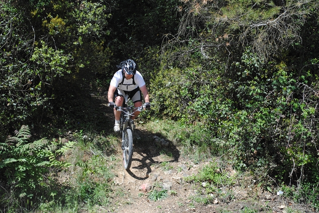 VTT 2012_411