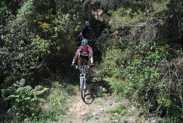 VTT 2012_419