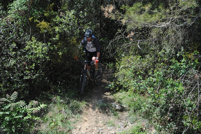 VTT 2012_427