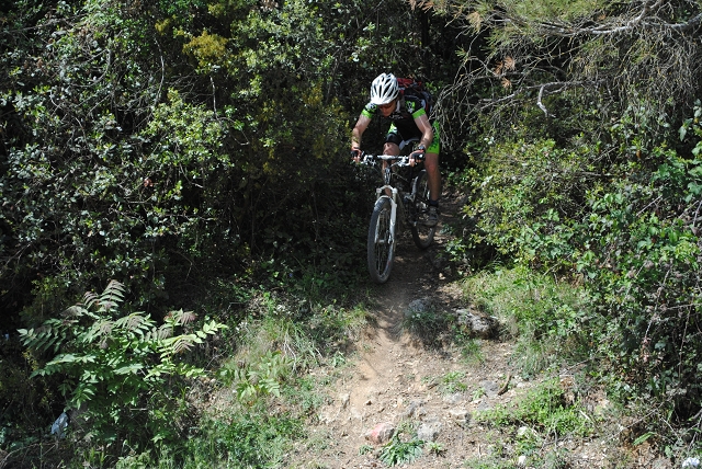 VTT 2012_428