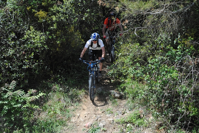 VTT 2012_430