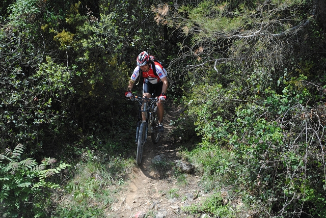VTT 2012_433