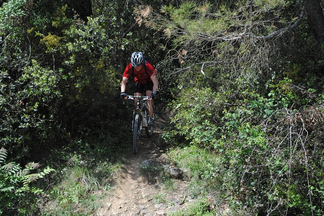 VTT 2012_438