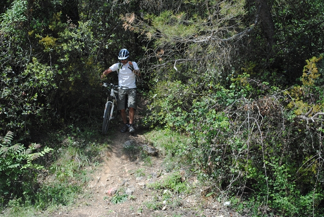 VTT 2012_442