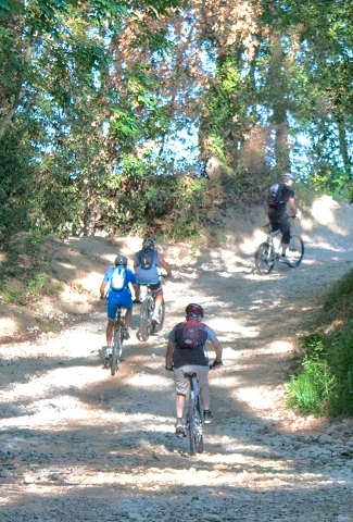 VTT 2012_033