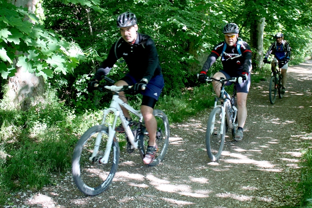 VTT 2013_115