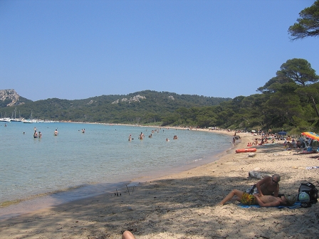 Sortie � Porquerolles - 14