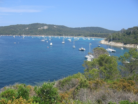 Sortie � Porquerolles - 16