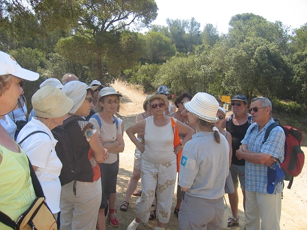 Sortie � Porquerolles - 19