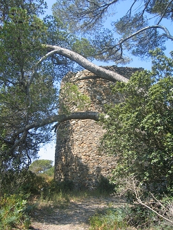 Sortie � Porquerolles - 20