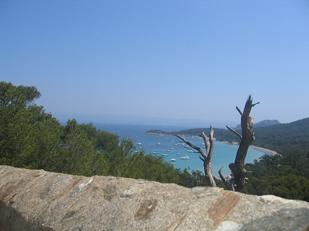 Sortie � Porquerolles - 22