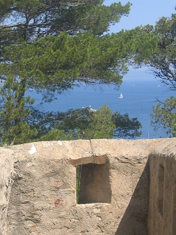 Sortie � Porquerolles - 23