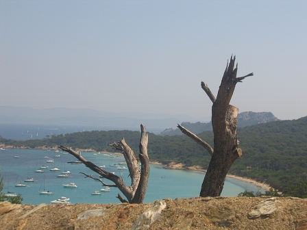 Sortie � Porquerolles - 24