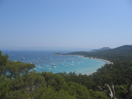 Sortie � Porquerolles - 25