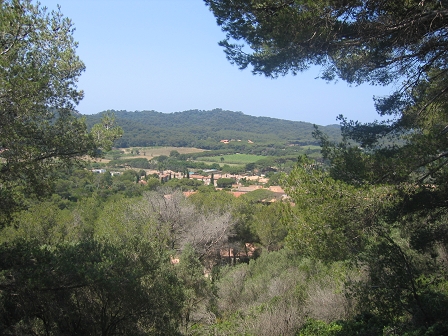 Sortie � Porquerolles - 28