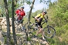 VTT 2010_072