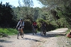 VTT 2012_239