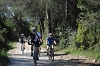 VTT 2012_247