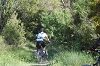 VTT 2012_276