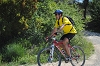 VTT 2012_319